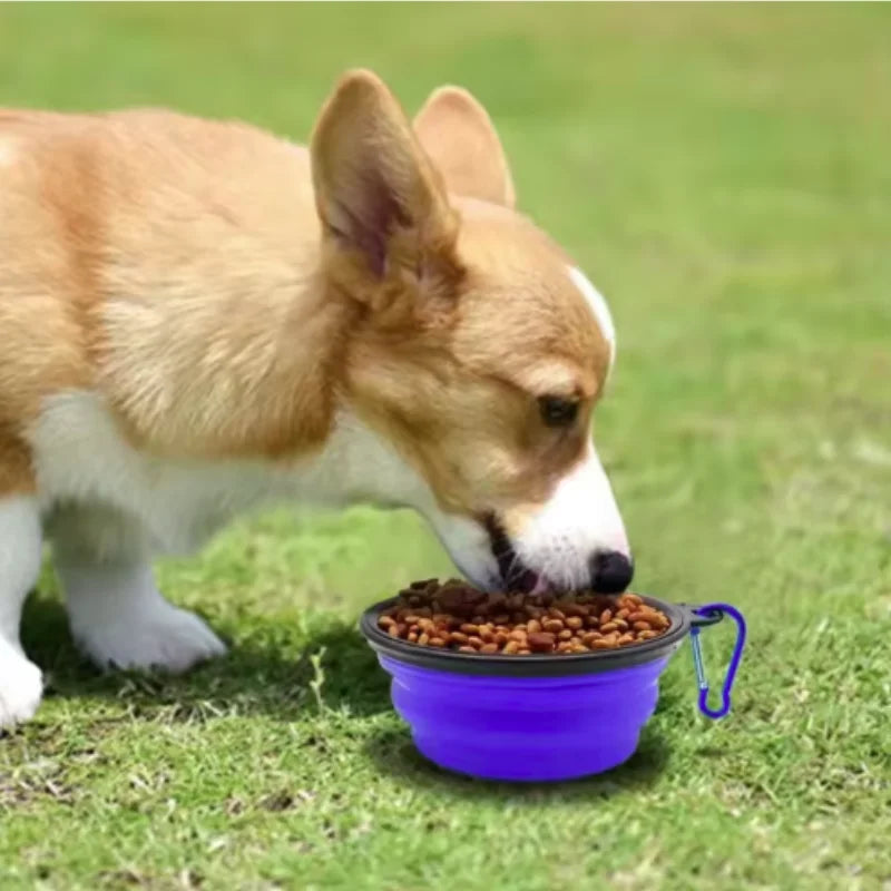 Tigela de comida para animais de estimação portátil tpr durável para gatos e cães silicone dobrável viagem ao ar livre tigela de comida de água para animais de estimação