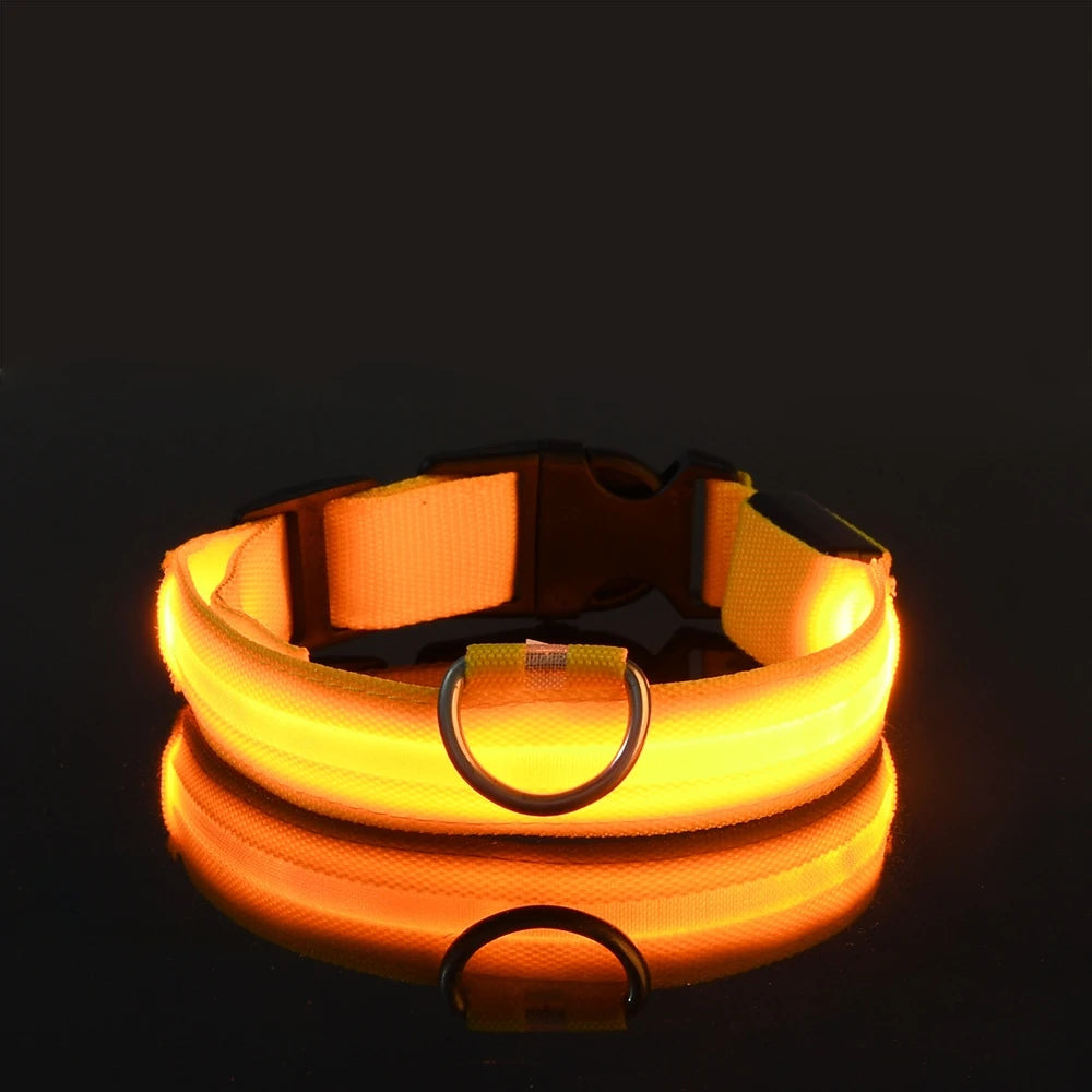 Nylon led noite segurança piscando brilho no escuro trela do cão cães luminoso fluorescente coleira do cão de estimação Kasa & Pet