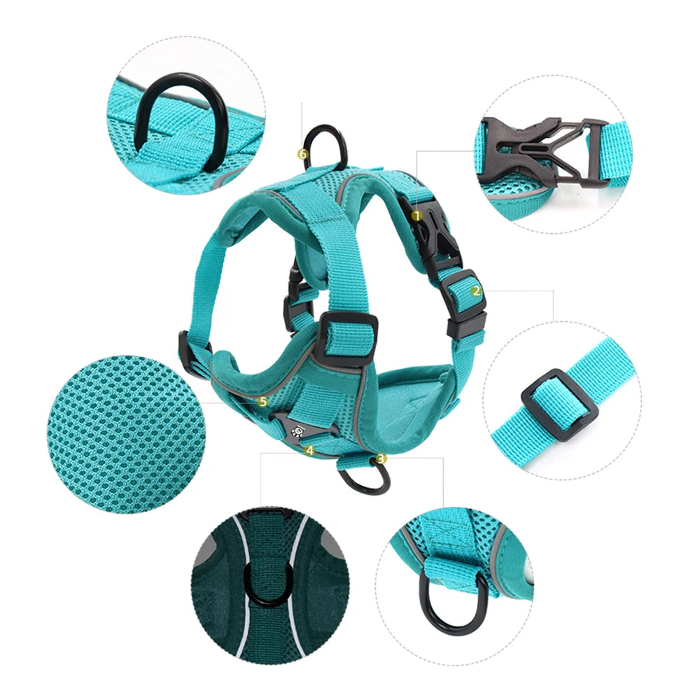 Conjunto de Arnês e Coleira para Cães Pequenos: Acessórios Essenciais para Bulldog Francês, Pug, Pitbull e Filhotes - Coleira Peitoral para Cães