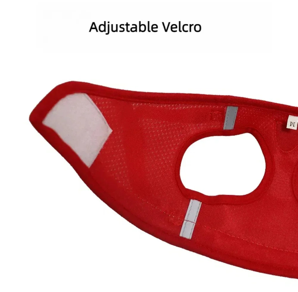 Conjunto de coleira de chumbo para gatos, ajustável, reflexivo, à prova de fuga, colete de malha para animais de estimação, coleira para cachorro, cachorro pequeno, gato, suprimentos para animais de estimação