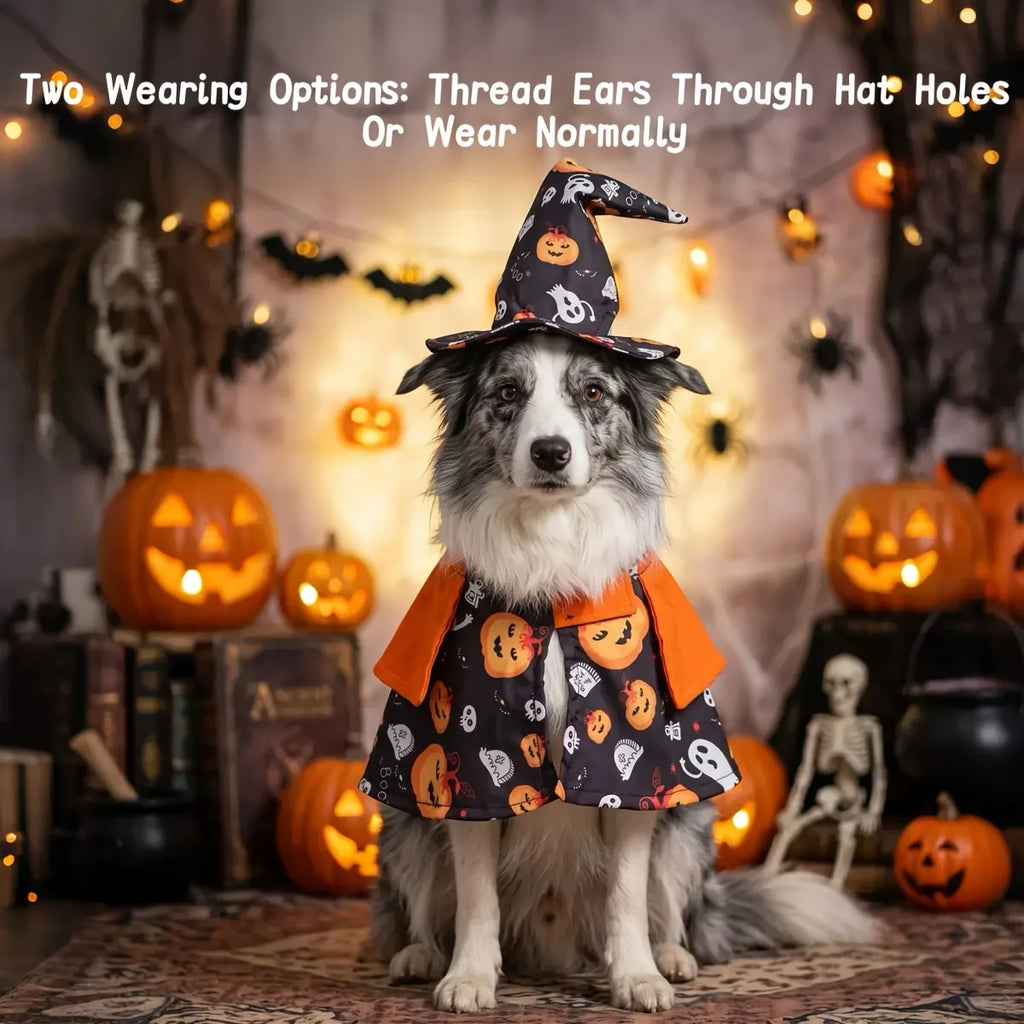 Fantasia de Halloween para Gatos: Conjunto de Capa de Abóbora e Chapéu de Mago com Estampa Divertida de Mago para Ambiente Festivo, Festa e Fotografia