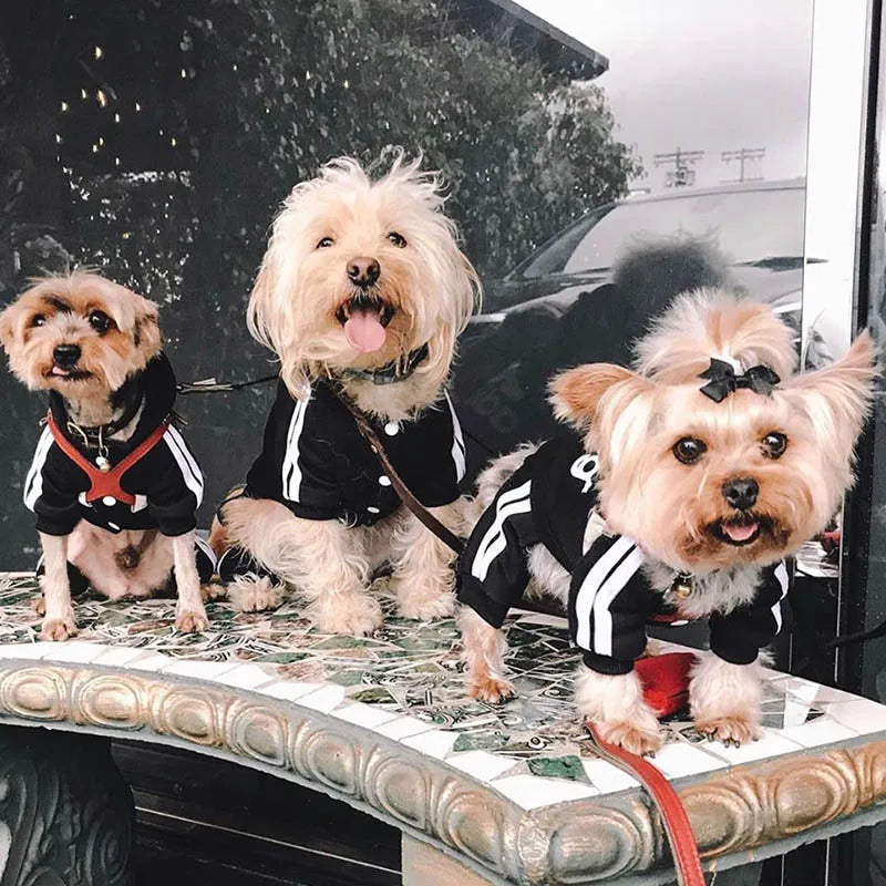 Roupa para animais de estimação roupas para cães pequenos cães médios roupa para cachorro com capuz moletom