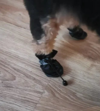 Conjunto de 4 Sapatos Impermeáveis para Cães, Botas de Chuva Antiderrapantes com Sola Macia, Sapatos para Gatos, Botas para Filhotes, Acessório para Patas