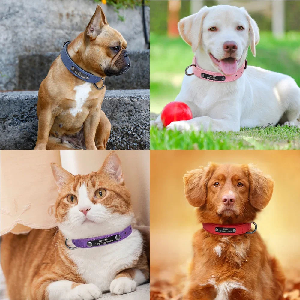 Coleira de Cão Personalizada em Couro com Placa de Identificação, Almofadada e Macia, Gravação Gratuita do Nome para Cães Pequenos, Médios e Grandes