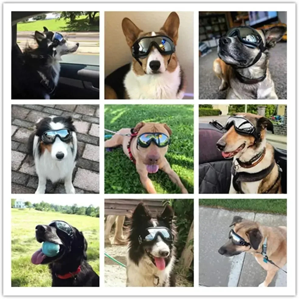 Óculos de sol ajustáveis para cães, com proteção UV, para uso em animais de estimação, proteção para os olhos, cor preta, óculos de sol para cães, artigos para cães.
