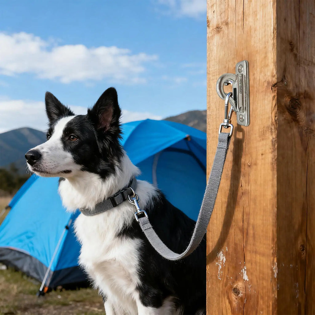 Suporte de Parede em Aço Inoxidável para Coleiras de Cães e Correntes de Animais de Estimação, com Gancho de Fixação, para Uso Externo em Cercas