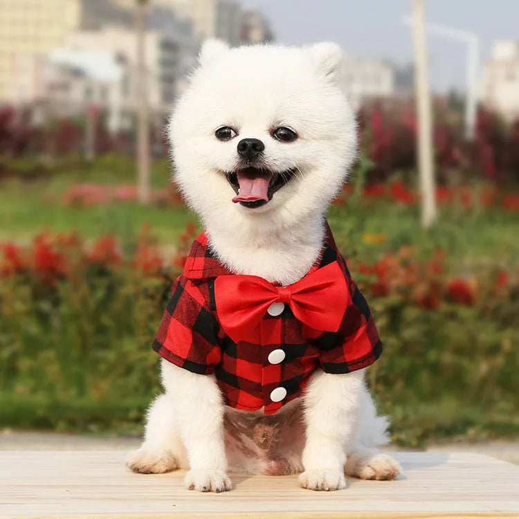 Cão de estimação roupas xadrez camisa terno gravata vestido primavera verão filhote de cachorro casaco teddy bear pomeranian colete pequeno-médio cão gato animal de estimação traje