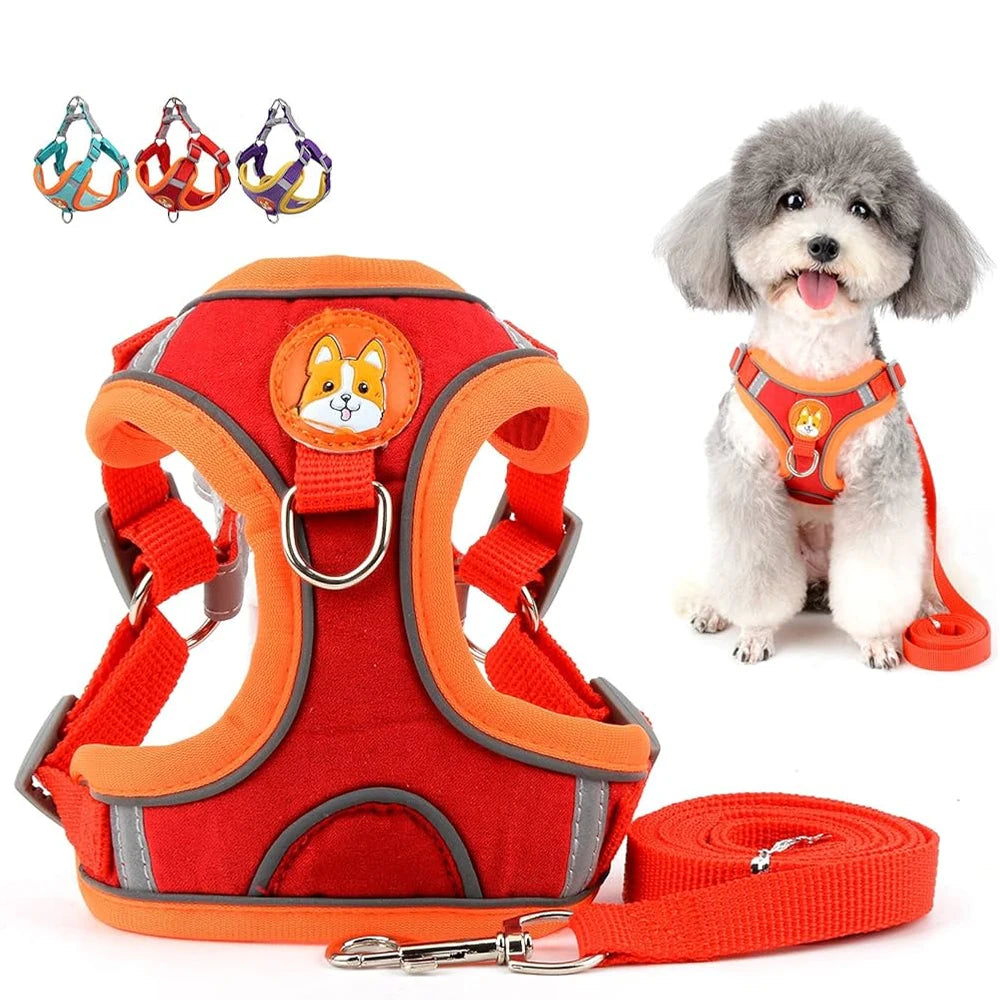 Coleira Peitoral Ajustável Para Cães Gatos Passeio Confortável Material Nylon Ergonômico Seguro