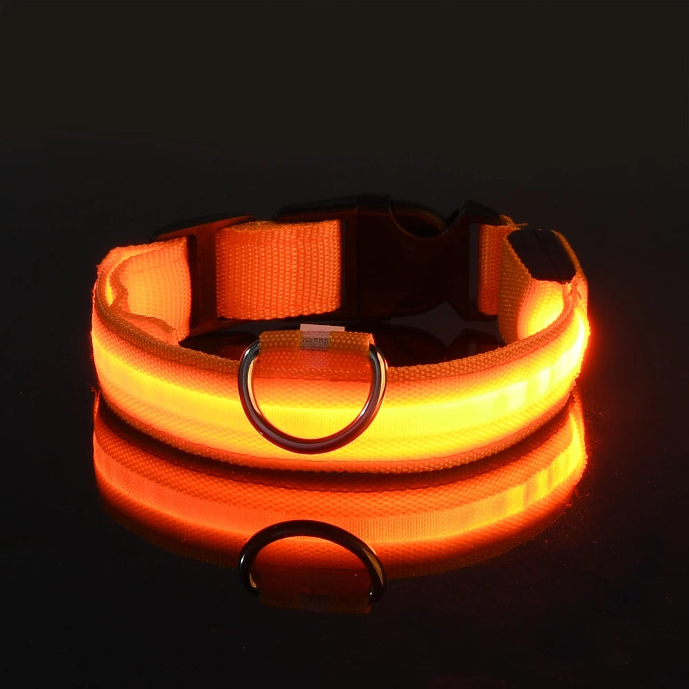 Nylon led noite segurança piscando brilho no escuro trela do cão cães luminoso fluorescente coleira do cão de estimação Kasa & Pet
