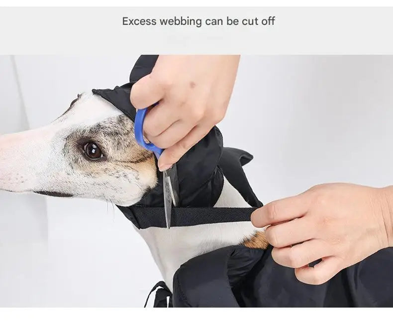 Fantasia de Halloween para Cães e Gatos, Capa com Capuz, Capa de Veludo da Maléfica, Ajustável, Vestuário para Festa de Cosplay, Brinquedo Engraçado de Bruxa para Animais de Estimação