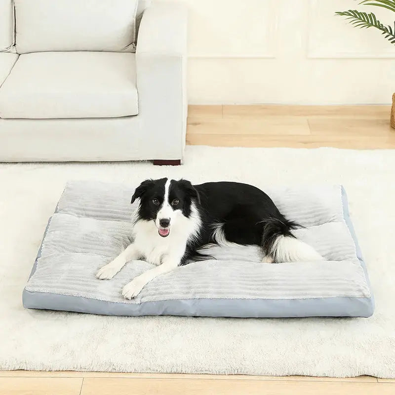 Camas aconchegantes para cães, casa macia e longa de pelúcia, melhor cama para cães, cesta, produtos para animais de estimação, almofada, cama para gatos, animais, sofá de dormir Kasa & Pet