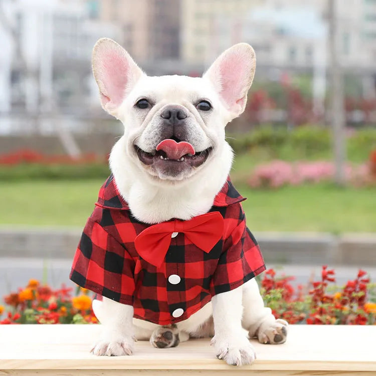 Cão de estimação roupas xadrez camisa terno gravata vestido primavera verão filhote de cachorro casaco teddy bear pomeranian colete pequeno-médio cão gato animal de estimação traje