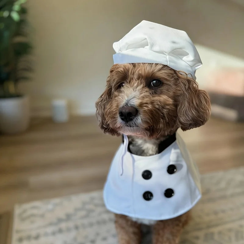 Conjunto de Fantasia para Animais de Estimação Top Chef com 2 Peças, Chapéu e Avental, Roupas Engraçadas e Fofas para Gatos e Cães, Fantasia de Chef para Cães em Feriados, Roupas com Tema de Restaurante