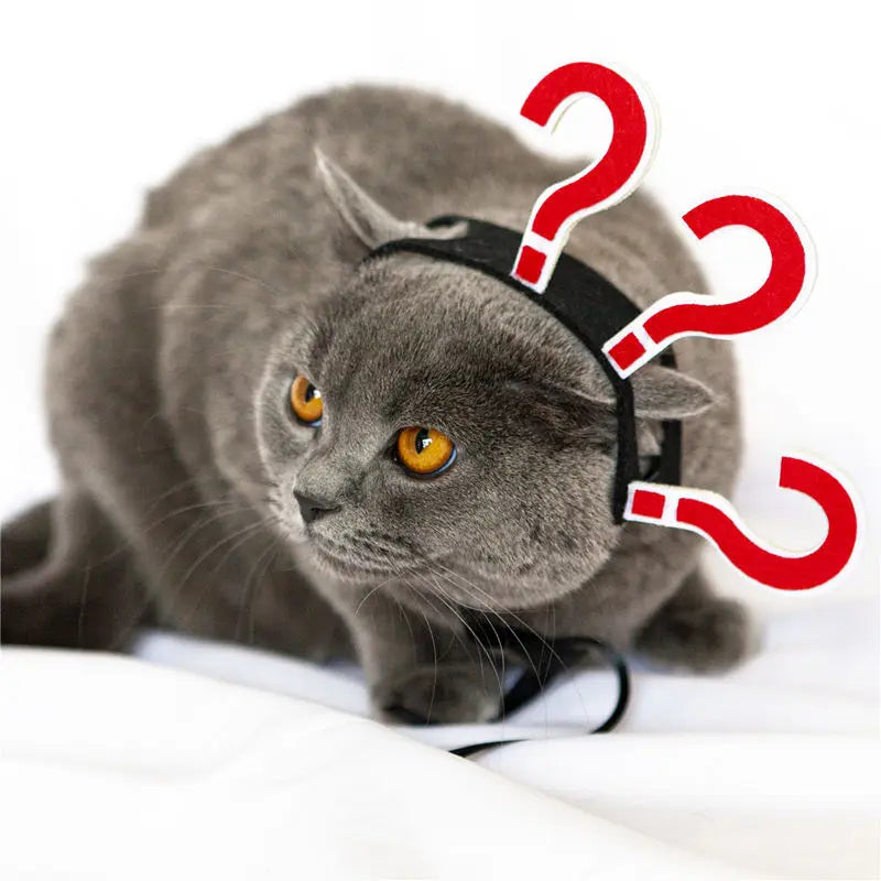 Traje de animal de estimação engraçado headwear para gato filhote de cachorro cão halloween fotografia adereços fontes de festa acessórios para animais de estimação