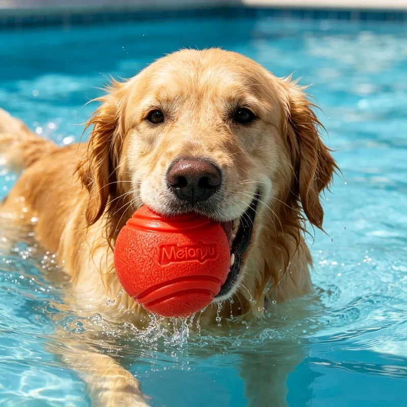 Brinquedos para Cães de Estimação: Bola de Borracha Sólida e Resistente, Durável, Resistente à Mastigação, Alto Salto, para Lançar ao Ar Livre, Brincar de Busca e Treino Interativo para Filhotes