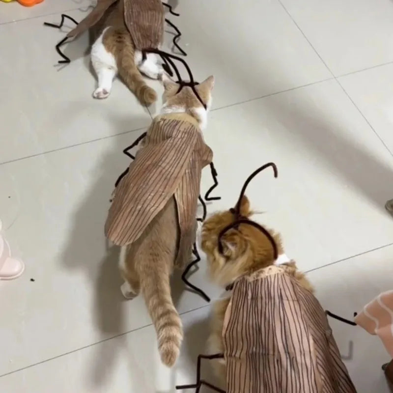 Fantasia de Gato com Capuz de Barata para Halloween, Traje Engraçado para Animais de Estimação, Roupa para Festas e Festivais, para Gatinhos e Filhotes de Porte Pequeno e Médio, Adereços para Fotos