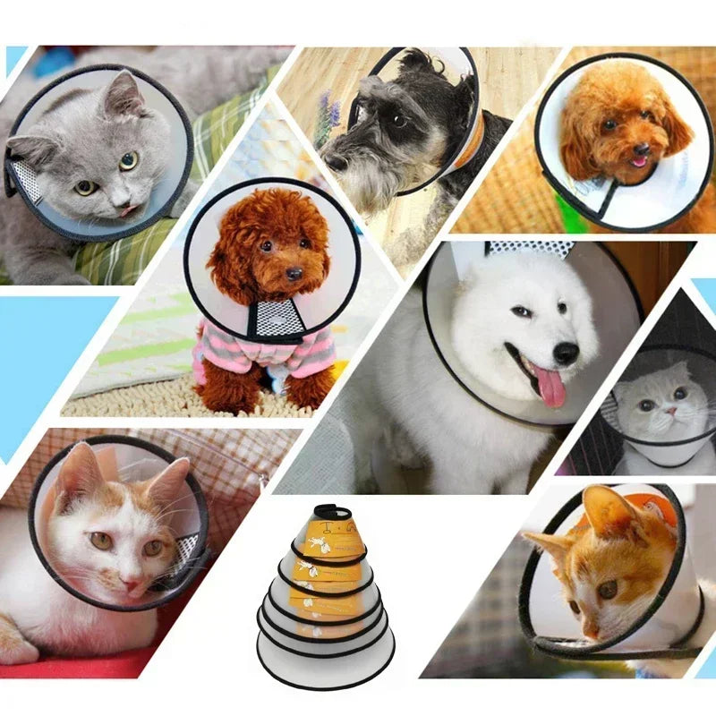 Coleira anti mordida Elizabeth para cães pequenos e grandes, anel de recuperação Cone, gatos cicatrização de feridas no pescoço