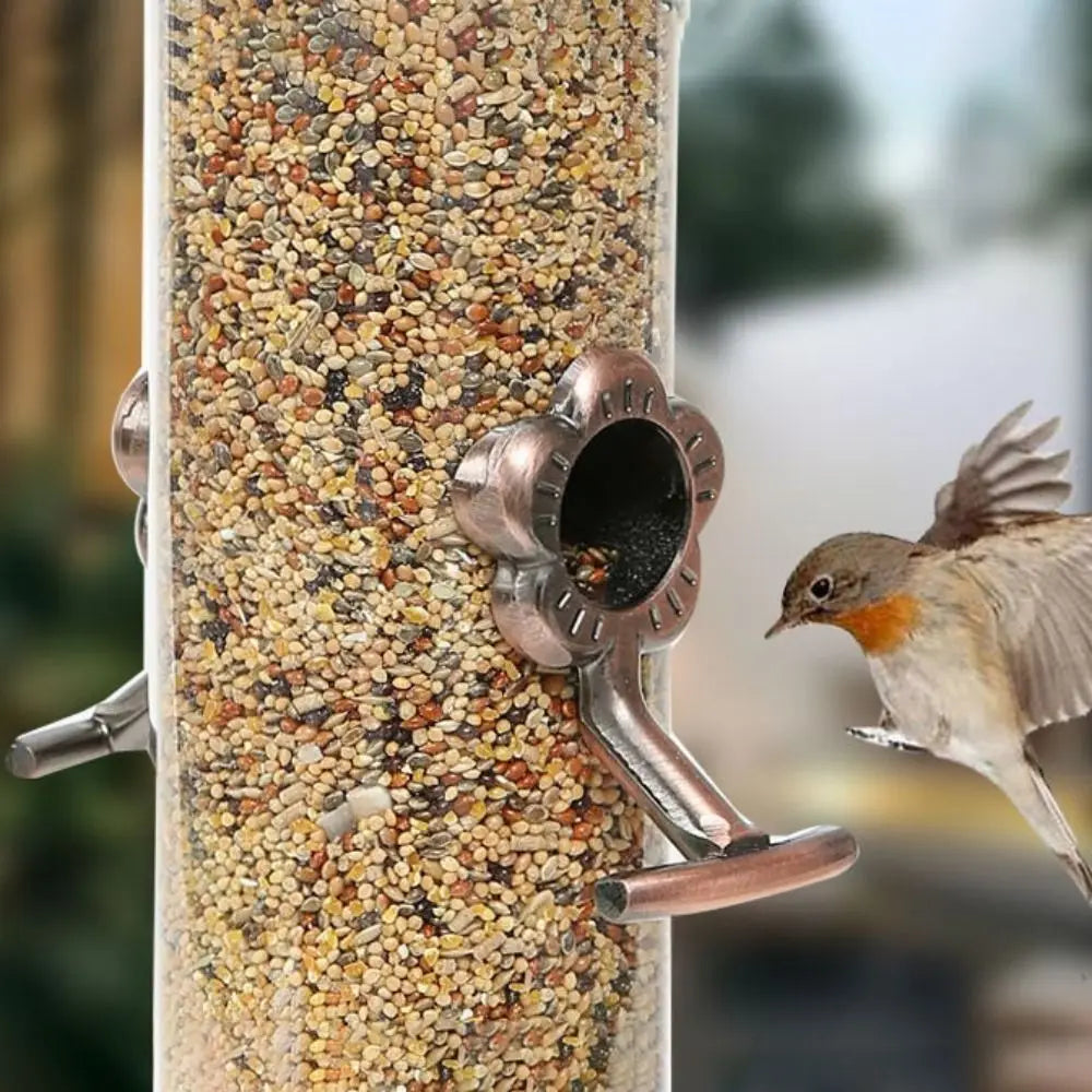 Alimentador de pássaros de metal, suprimentos para animais de estimação, à prova d'água, transparente, dispensador de comida para pássaros, automático, grande capacidade, tigela de alimentação de pássaros, papagaio