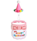 Chapéu de Festa para Animais de Pelúcia, Chapéus de Aniversário para Cães, Gatos, Coelhos, Filhotes, e Roupas para Gansos, Decoração de Patos de Plástico e Cimento