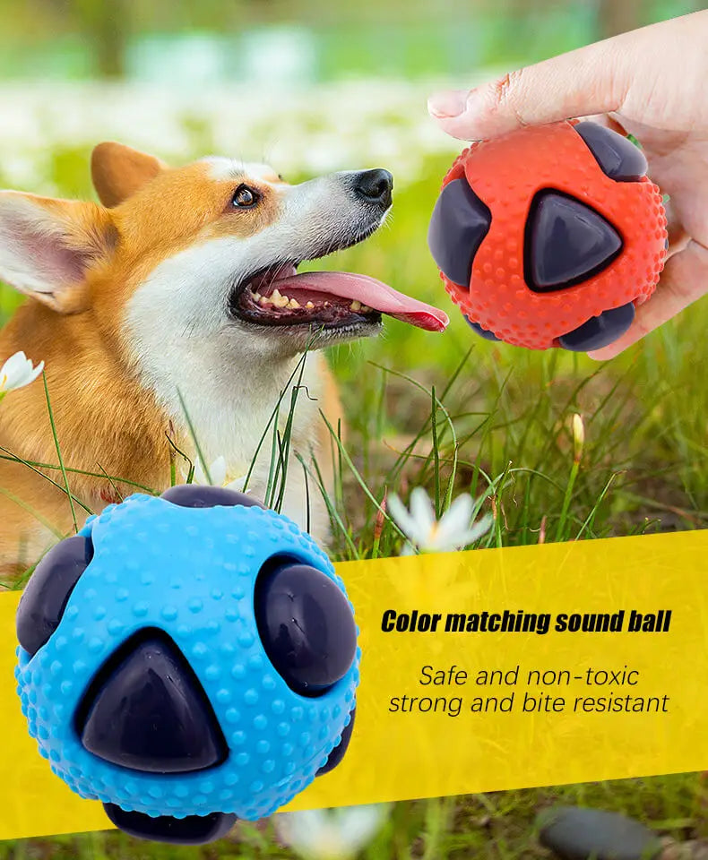 Pet tpr brinquedo bola interação animais de estimação aliviar o tédio mordida resistência pequeno cão de tamanho médio moagem dormir ventilação bola flash