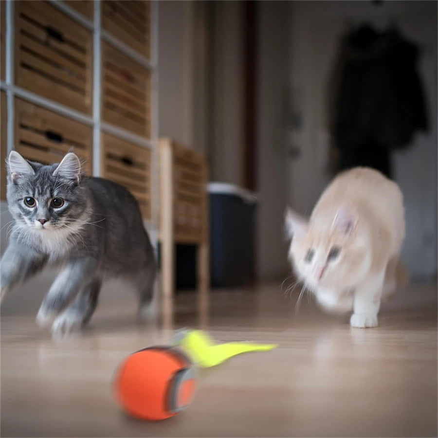 Bola interativa para gatos, brinquedo automático para animais de estimação, recarregável por USB, bola saltitante com cauda que balança, inteligente