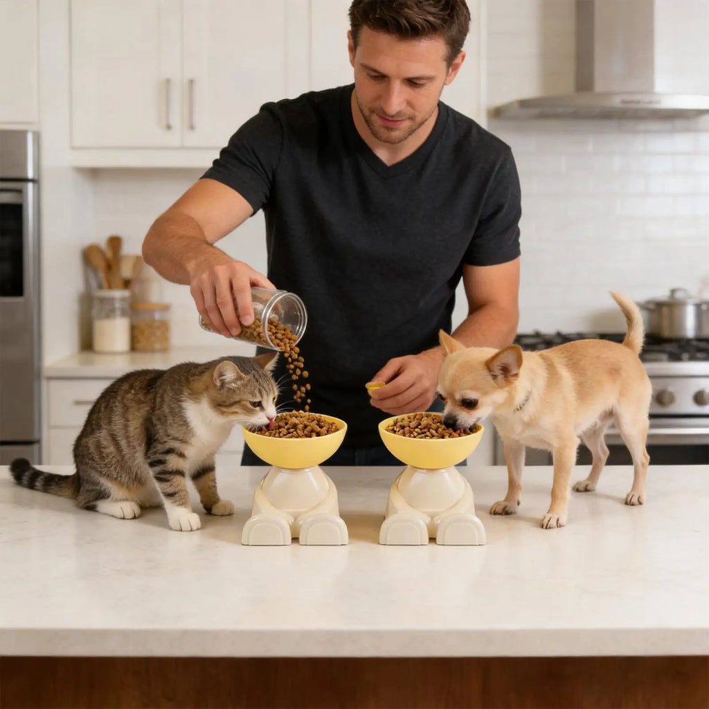 Tigelas para Alimentação de Gatos e Cães, Prato Elevado para Alimentos, Comedouro Antiderrapante para Animais de Estimação, Ideal para Cozinha, Apartamento e Uso Interno
