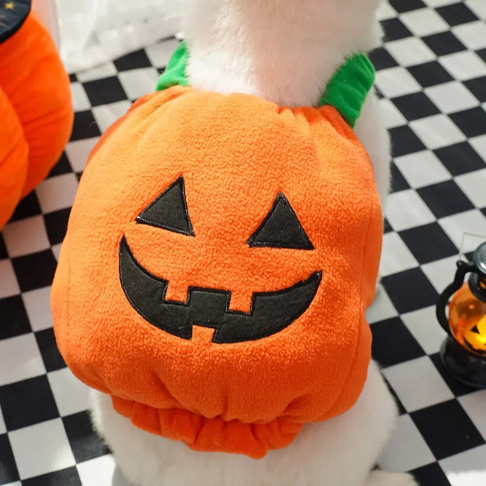 Fantasias de Halloween para Cães, Traje Engraçado de Abóbora Lanterna, Roupa de Transformação para Cães e Gatos de Duas Patas, Chapéu de Abóbora Fofo, Jaqueta para Cães