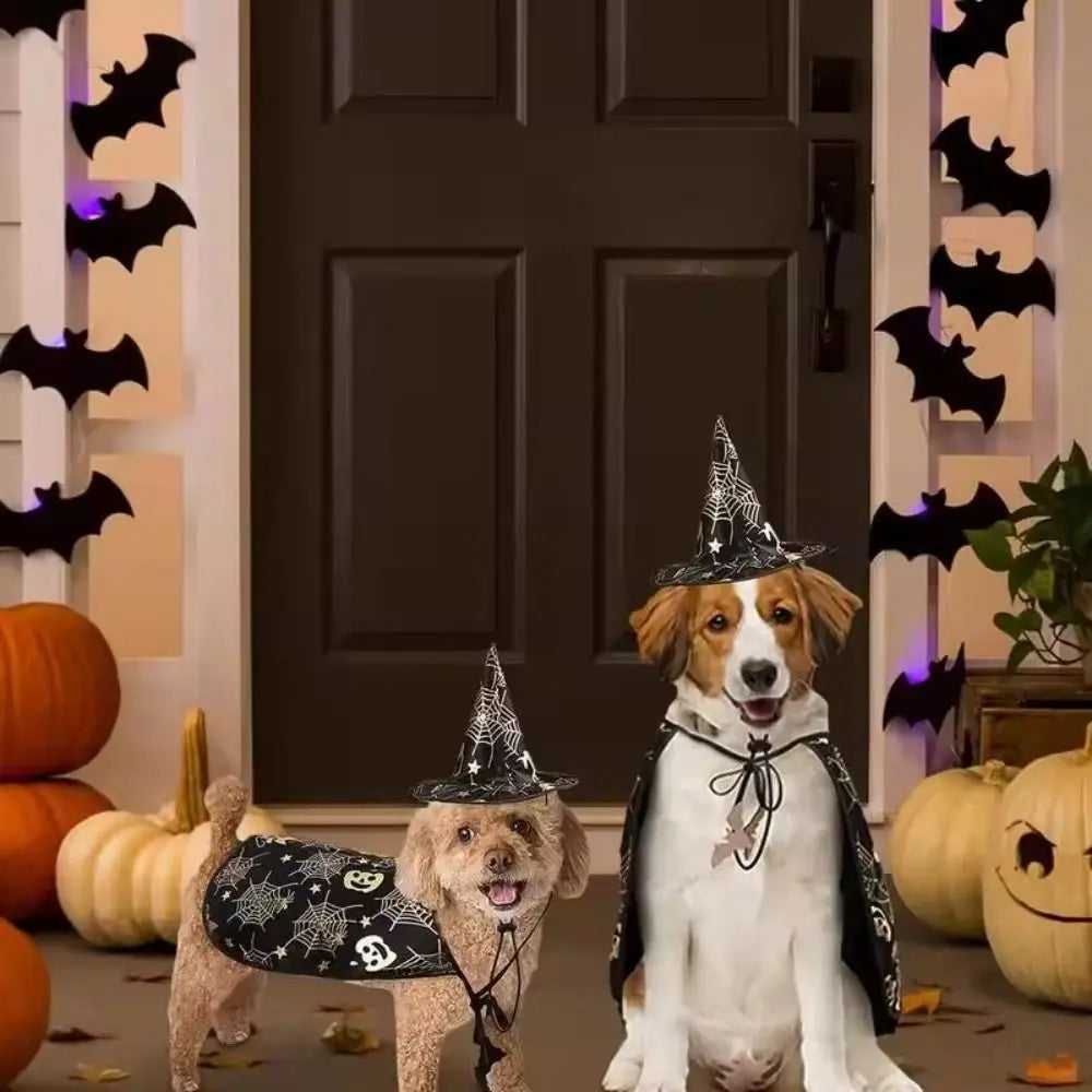 Engraçado abóbora animal de estimação trajes de halloween capa ajustável macio gatos cosplay roupas morcego preto halloween animal de estimação vestuário festa