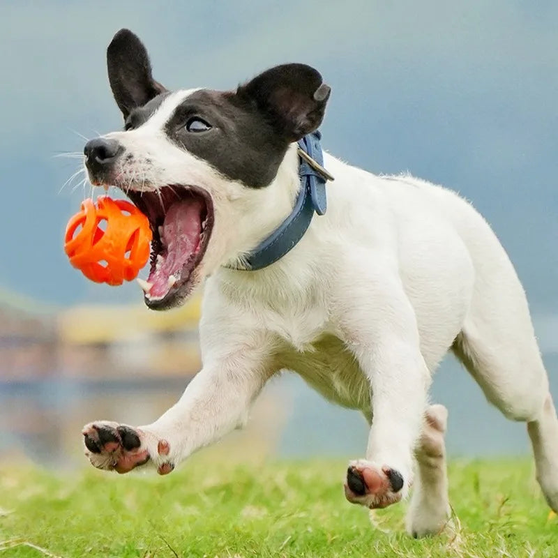 Brinquedos para Animais de Estimação - Bolas de Mastigar Resistentes a Mordidas - Bolas Ocas Elásticas - Bolas de Treinamento - Brinquedos de Entretenimento e Relaxamento - Suprimentos para Animais de Estimação