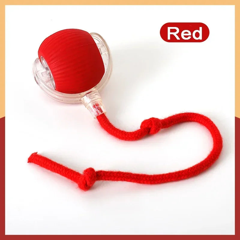 Brinquedo para Cães, Bola Automática para Passeio, Alivia o Tédio, Brinquedo Elétrico Inteligente para Cães, Resistente a Mordidas, Treinamento de Filhotes Kasa & Pet
