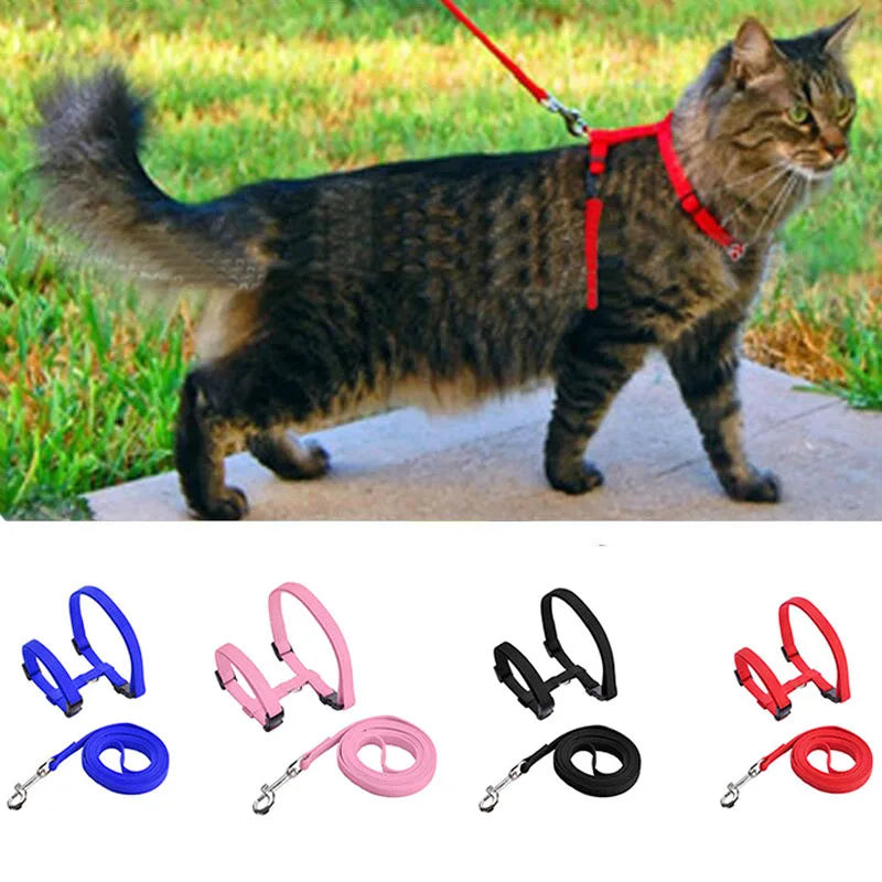 Coleira ajustável para gatos, coleira aconchegante de nylon para coelho, gatinhos, conjunto de coleira para cães e gatos, produtos para animais de estimação