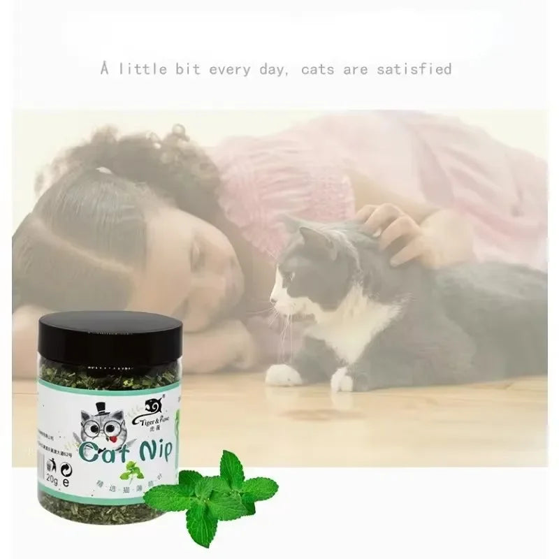 Brinquedo Interativo para Gatos com Sabor de Menta de Catnip 100% Natural e de Alta Qualidade, Novo Brinquedo para Gatos, Suprimentos para Animais de Estimação