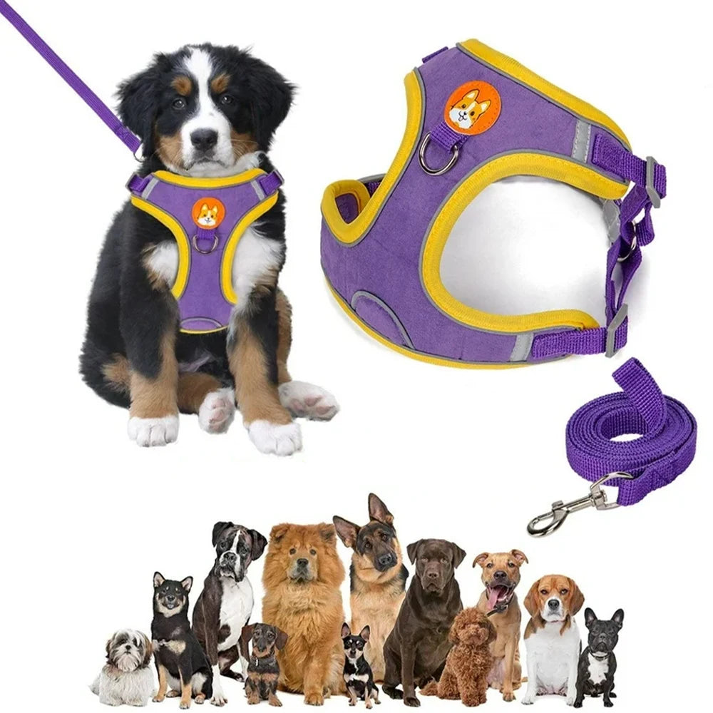 Coleira Peitoral Ajustável Para Cães Gatos Passeio Confortável Material Nylon Ergonômico Seguro