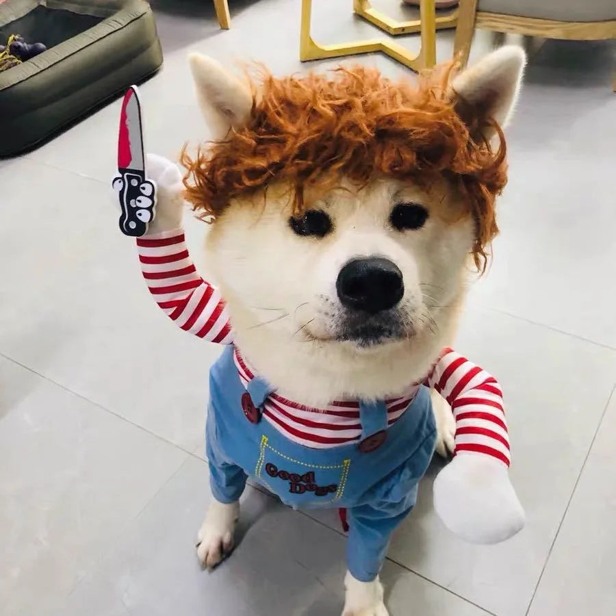 Fantasia de Halloween para Animais de Estimação – Vestido para Cães Pequenos e Médios – Roupa Divertida e Estilosa para Cães e Gatos Brincando com Roupas Engraçadas