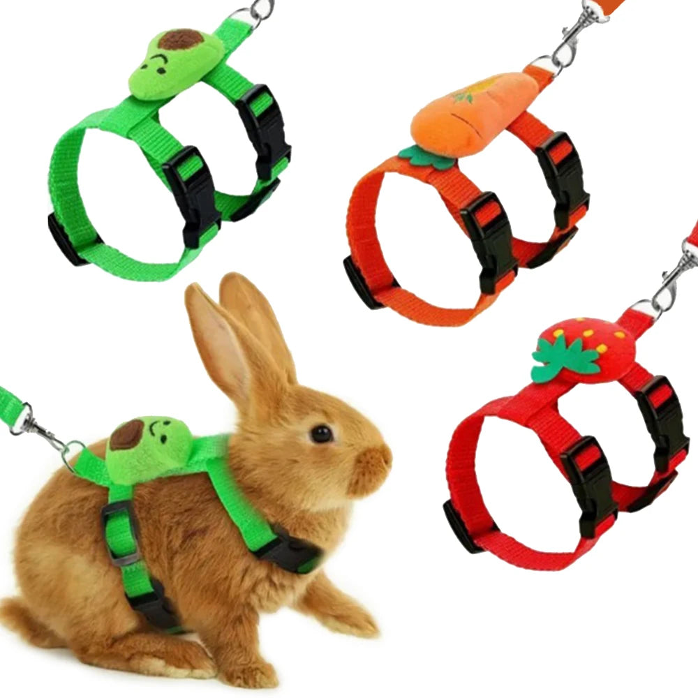 Coelho gato arnês e trela conjunto ajustável pet chumbo trela para animais pequenos furões pigmentos ouriços caminhada ao ar livre