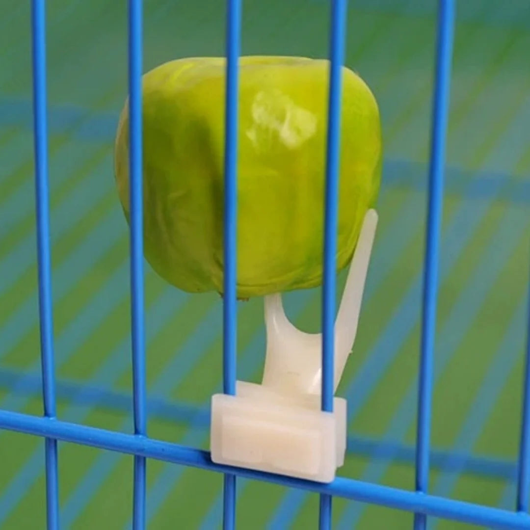 5 Garfos de Frutas Duráveis de Plástico para Gaiola de Pássaros, Acessórios para Alimentação de Papagaios, Suporte para Petiscos, Utensílios para Pássaros, Suprimentos Multifuncionais para Animais de Estimação
