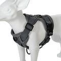Conjunto de Arnês e Coleira para Cães Pequenos: Acessórios Essenciais para Bulldog Francês, Pug, Pitbull e Filhotes - Coleira Peitoral para Cães