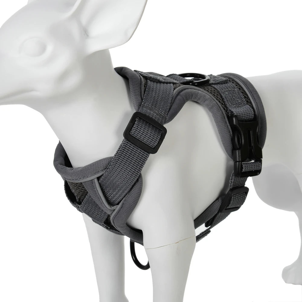 Conjunto de Arnês e Coleira para Cães Pequenos: Acessórios Essenciais para Bulldog Francês, Pug, Pitbull e Filhotes - Coleira Peitoral para Cães