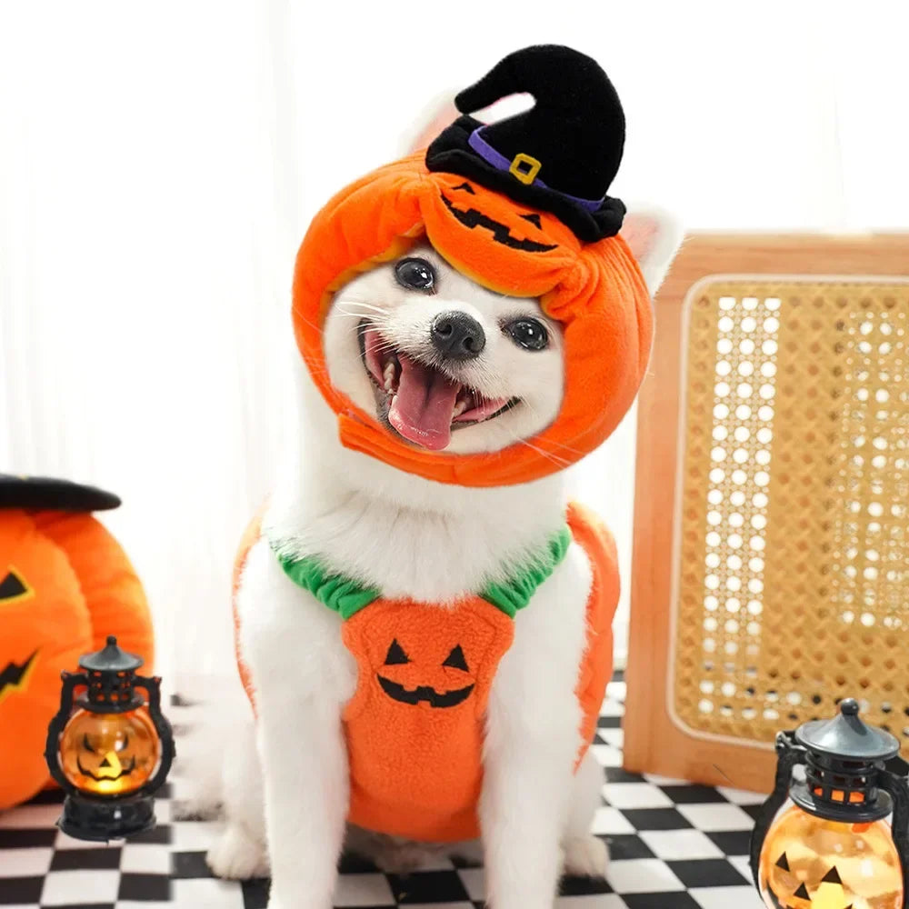 Fantasias de Halloween para Cães, Traje Engraçado de Abóbora Lanterna, Roupa de Transformação para Cães e Gatos de Duas Patas, Chapéu de Abóbora Fofo, Jaqueta para Cães