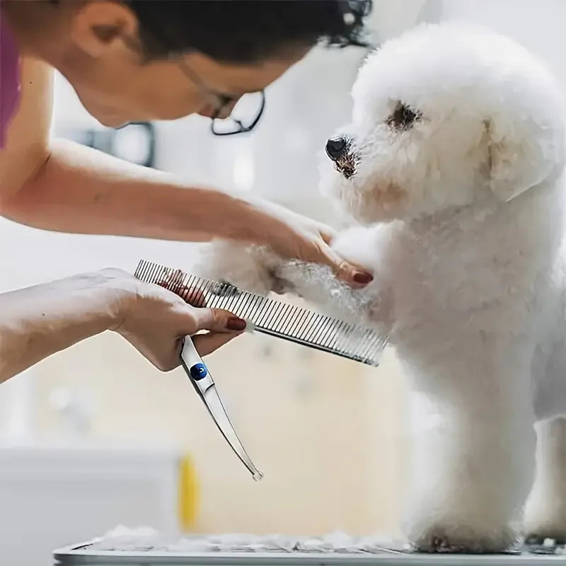 Tesoura segura para animais de estimação, 4 unidades, aço inoxidável ambidestro, tesoura para tosa de cães com cabeça redonda segura para aparar precisão