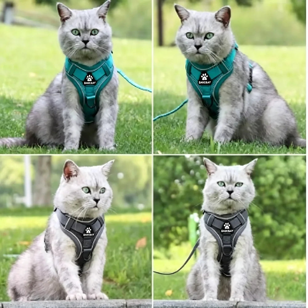Conjunto de Arnês e Coleira para Cães Pequenos: Acessórios Essenciais para Bulldog Francês, Pug, Pitbull e Filhotes - Coleira Peitoral para Cães