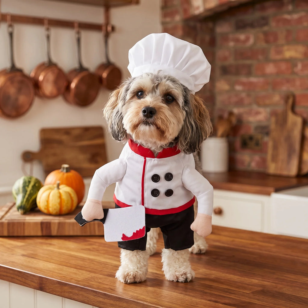    Fantasia de Chef de Halloween para Cães de Estimação, Roupa Engraçada de Cosplay com Chapéu, Vestido de Festa para Filhotes, Acessórios para Fotos de Festival