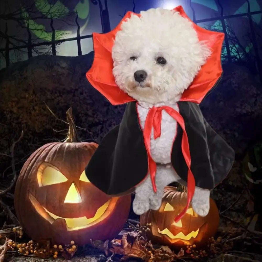 Traje de halloween para animais de estimação, confortável, fácil de usar, capa de cosplay de gato, tecido macio ajustável, capa de cavaleiro para cães