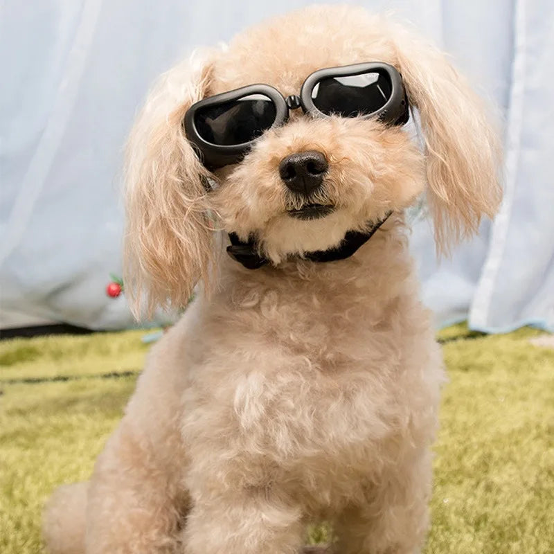 Suprimentos para animais de estimação moda gatos cães óculos de sol à prova de vento à prova de poeira óculos para viagens ao ar livre óculos de proteção uv verão