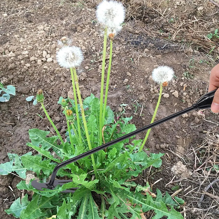Hada de jardim, suprimentos agrícolas, ferramenta de ervas daninhas, ferramentas de jardinagem, utensílios de mão, herbicida, professor de ervas daninhas, acessórios agrícolas