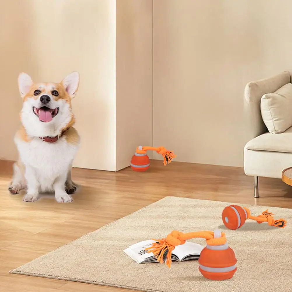 Bola Interativa para Cães, Brinquedo que Ativa com Movimento, Bola Rolante para Filhotes/Cães Pequenos, Brinquedo Automático Recarregável via USB
