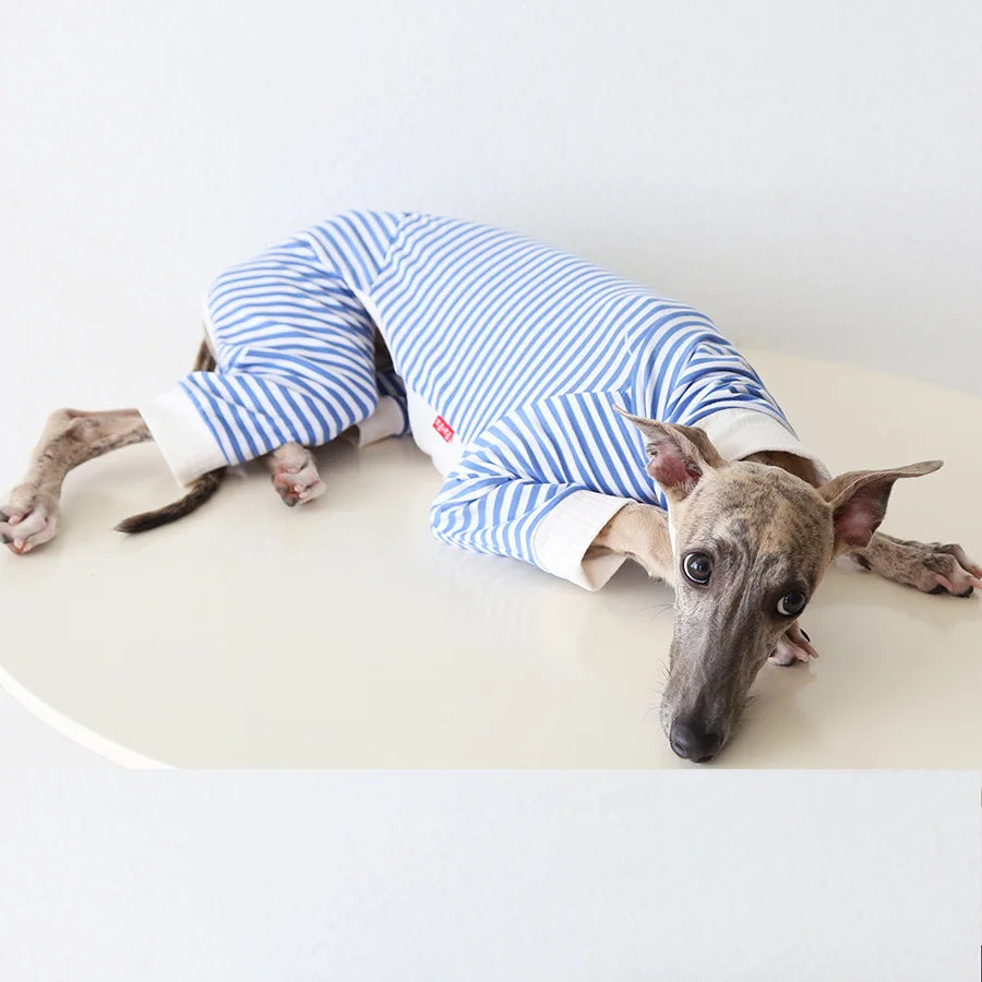 Wellington 4 pernas inverno outono roupas para animais de estimação XS-2XL galgo coisa cão jumpers moletom algodão macio pijamas de uso interno