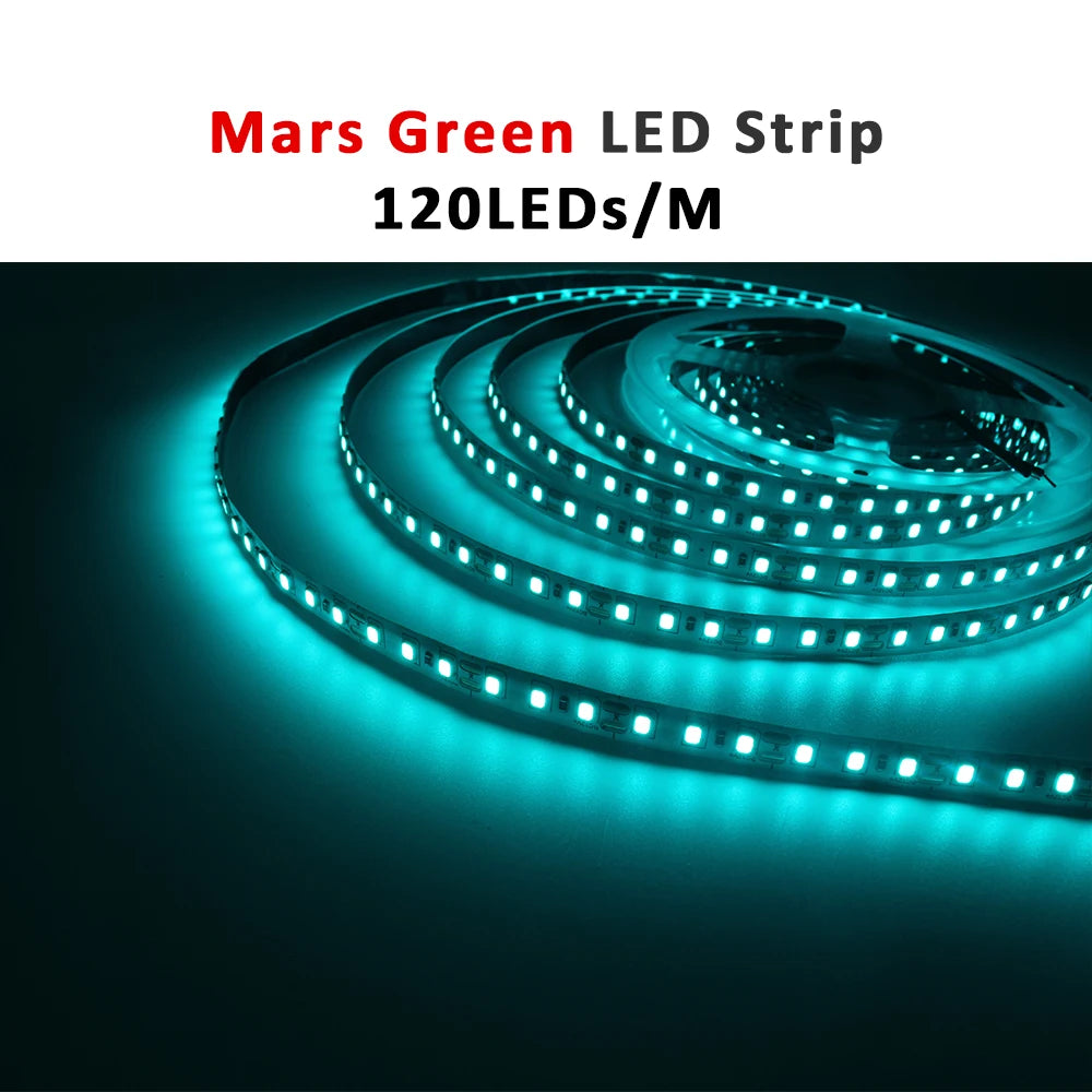 Fita de LED 12V 5m SMD 2835 5mm 8mm, Fita Flexível para Iluminação Decorativa Interna Kasa & Pet