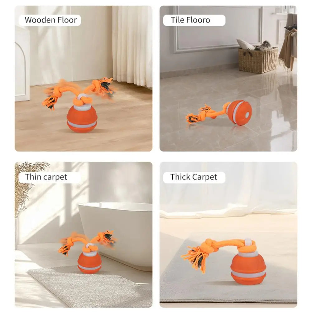 Bola Interativa para Cães, Brinquedo que Ativa com Movimento, Bola Rolante para Filhotes/Cães Pequenos, Brinquedo Automático Recarregável via USB