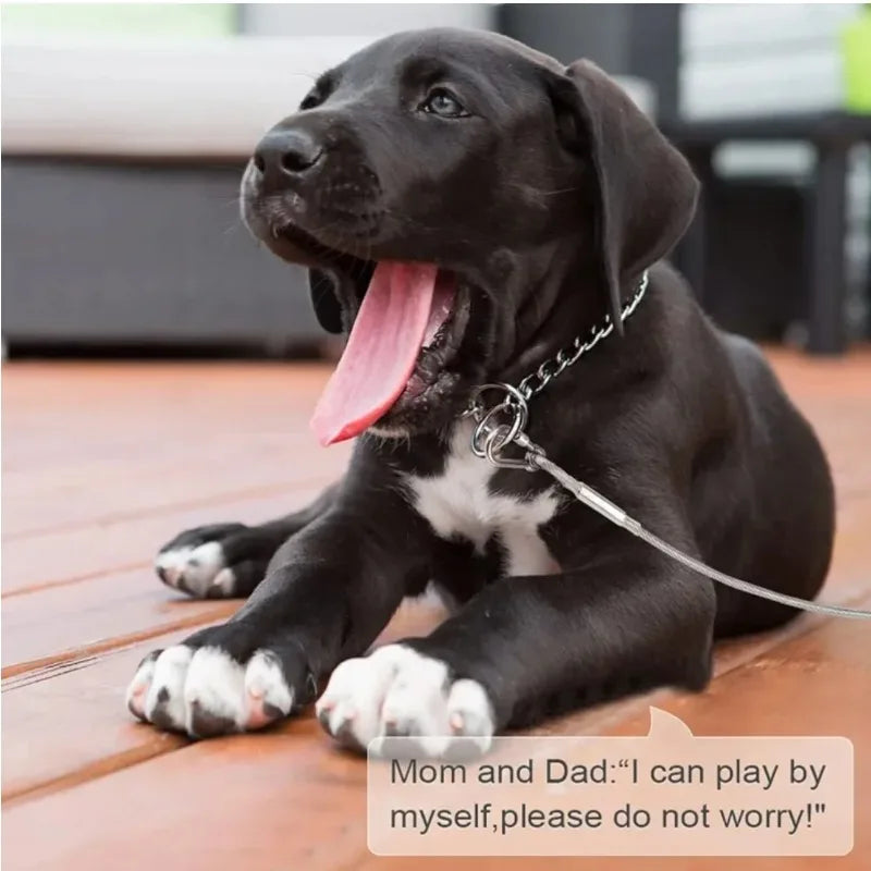 Corda de Amarração Dupla para Cães com Fivela de Metal, Cabo de Aço Antiferrugem, Coleira para Treinamento ao Ar Livre, Alça de Tração Durável